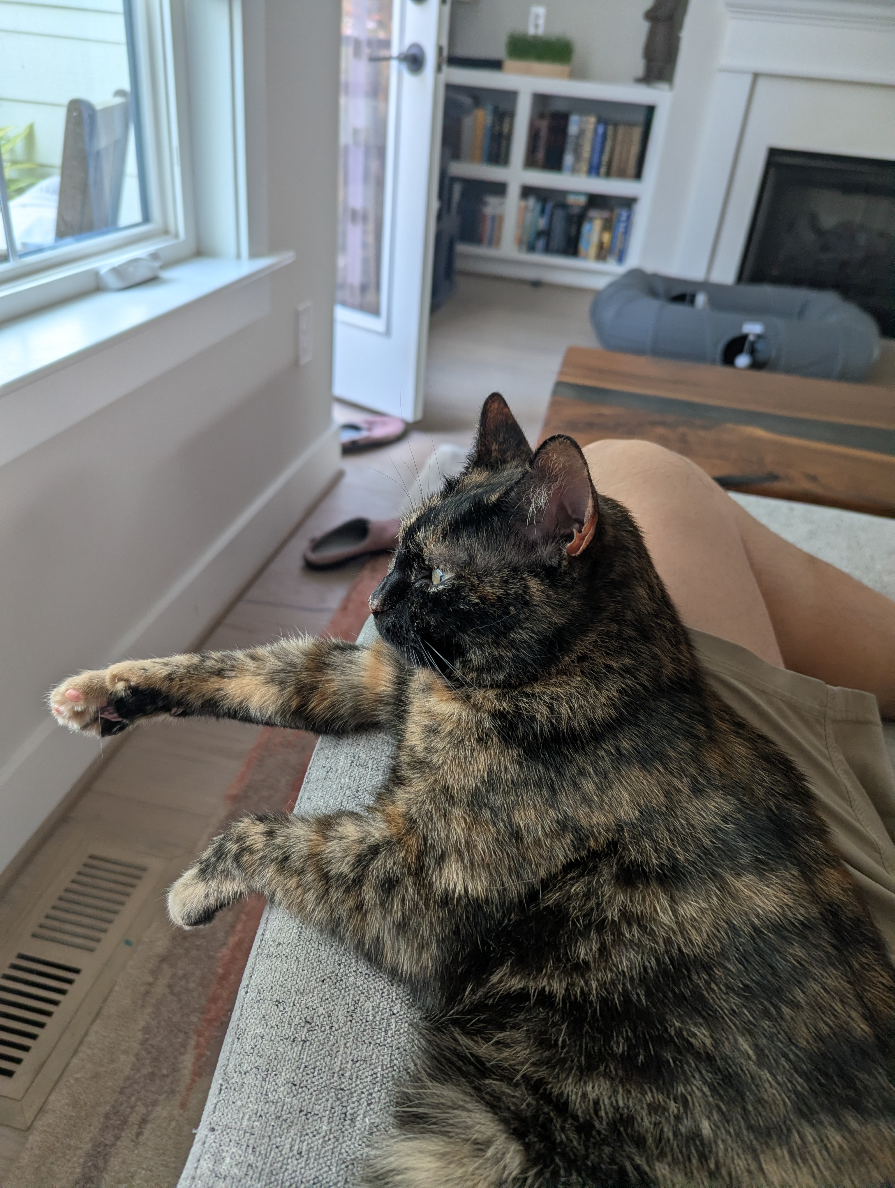 Fiona